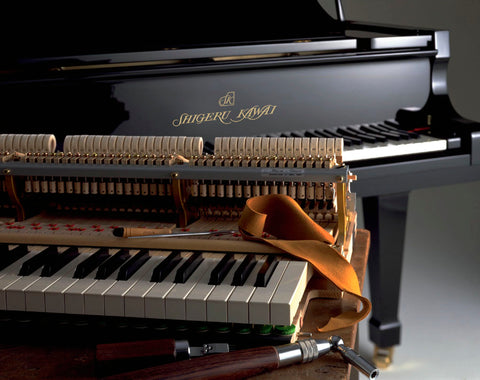 5 Years SoundGuard Included