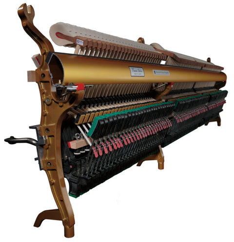 Millennium III Action Excellence