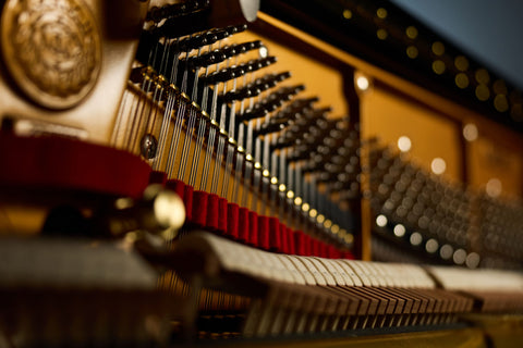 A Voice Shaped for Character and Warmth